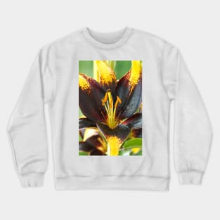 Lilium  'Lion Heart'  Lily  Asiatic lily Crewneck Sweatshirt